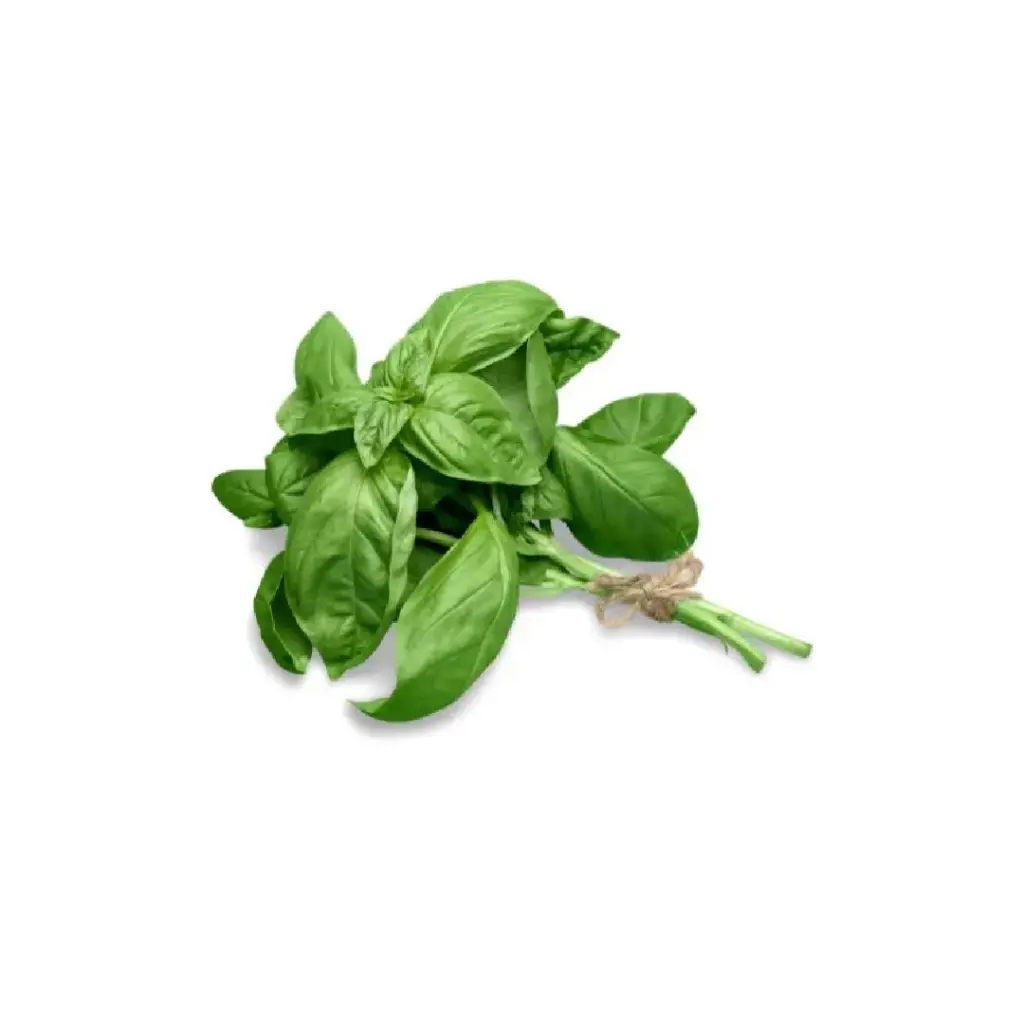 Albahaca