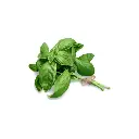 Albahaca