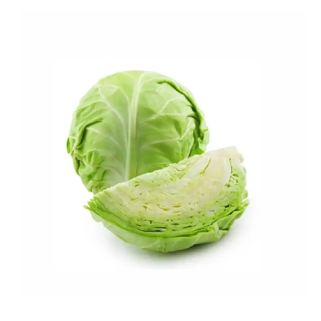Repollo