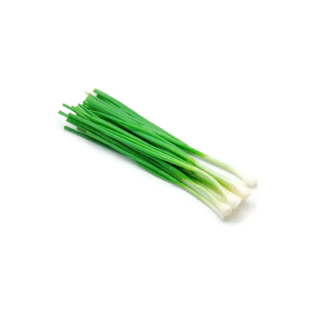 Cebolla de verdeo