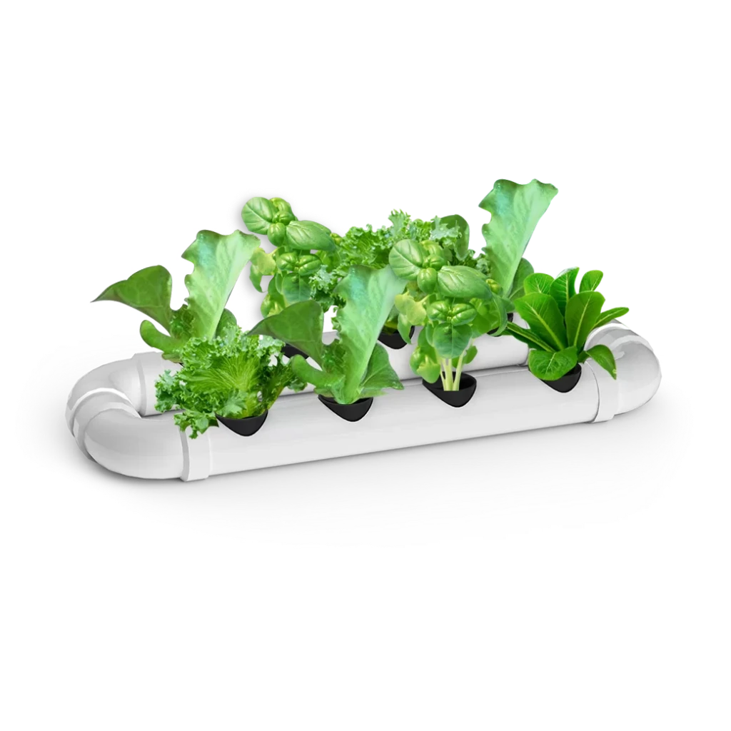 [KIT-00040] Germinador, Starter o Esquejero de Hidroponia DWC para 8 Plantas con Bomba de Aire y Accesorios