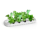 Germinador, Starter o Esquejero de Hidroponia DWC para 8 Plantas con Bomba de Aire y Accesorios