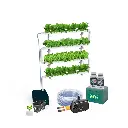 Kit Hidropónico N5 (Pared) Sistema NFT para 32 Plantas, Jardín Completo con Nutrientes, Semillas y Accesorios