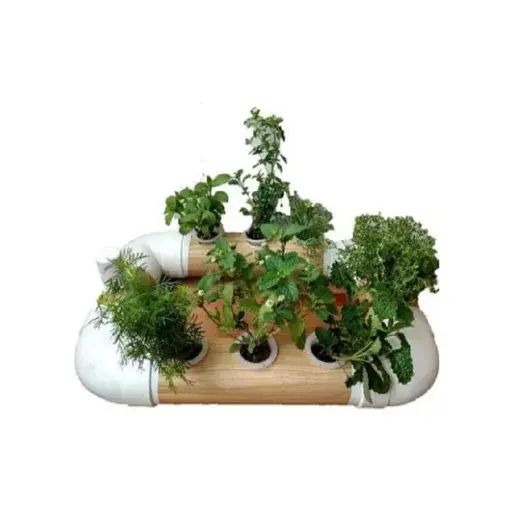 [KIT-00173] Mini Huerta Hidropónica DWC de 7 Plantas Con Bomba de Aire, Nutrientes y Semillas