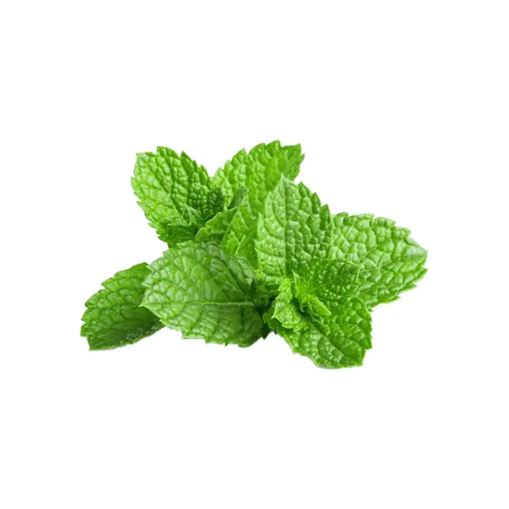 Menta Peperina