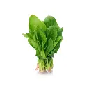 Espinaca