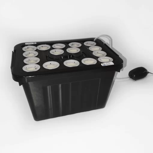 Esquejero Hidroponico DWC – 16 Esquejes Clonador Indoor