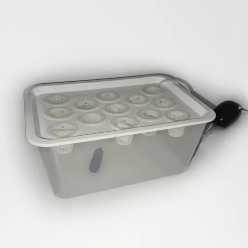 Esquejero Hidroponico DWC – 13 Esquejes Clonador Indoor