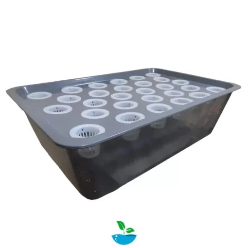 Esquejero Hidroponico DWC – 28 Esquejes Clonador Indoor