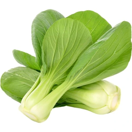 Pakchoi – Repollo Chino (60 semillas)
