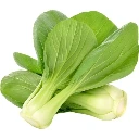 Pakchoi – Repollo Chino (60 semillas)