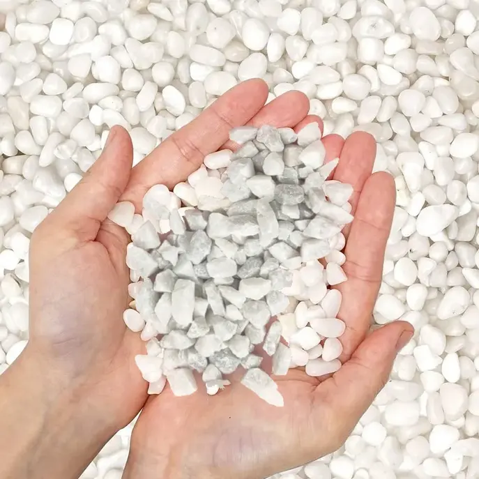 Mini White Deco: Piedritas Blancas Decorativas para Macetas y Jardines