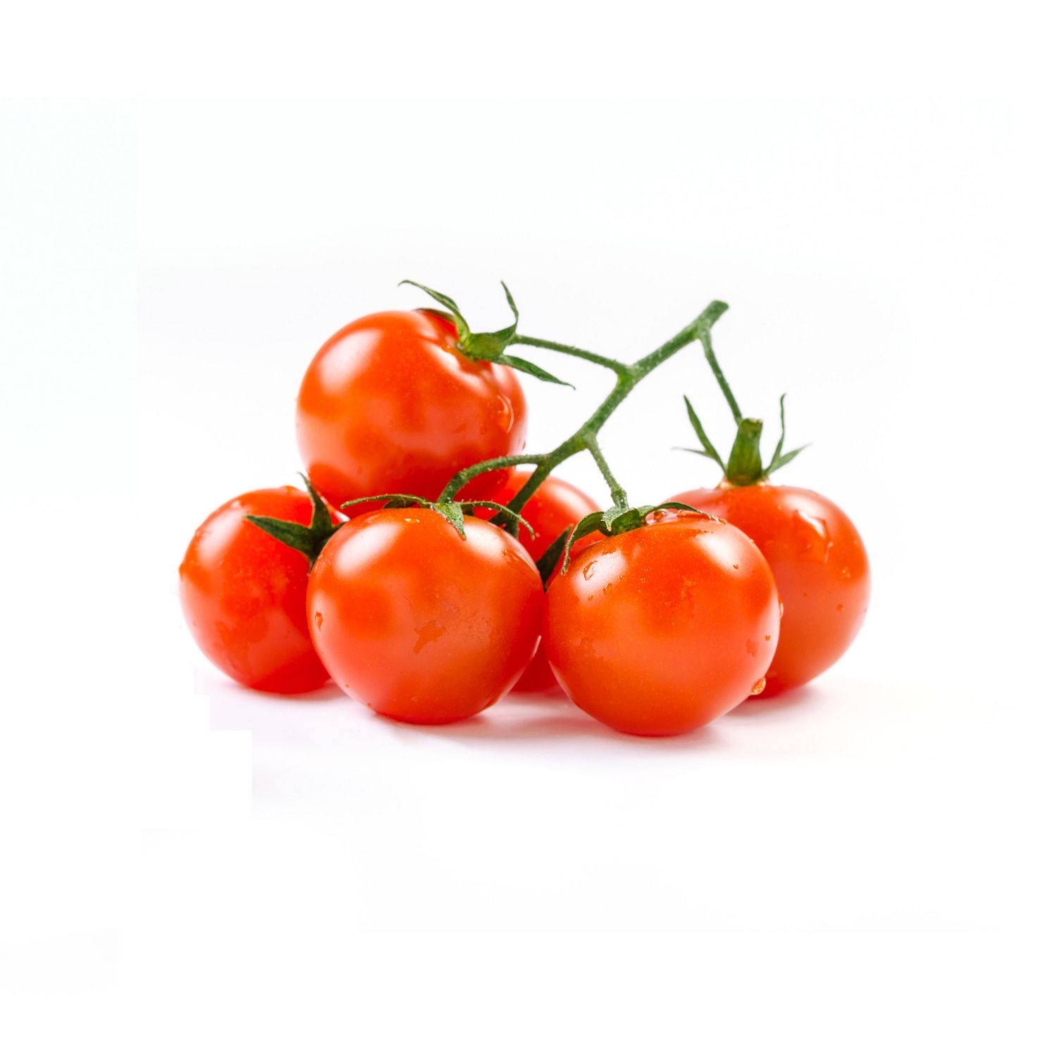 Tomate cherry - Mundo Hidroponía
